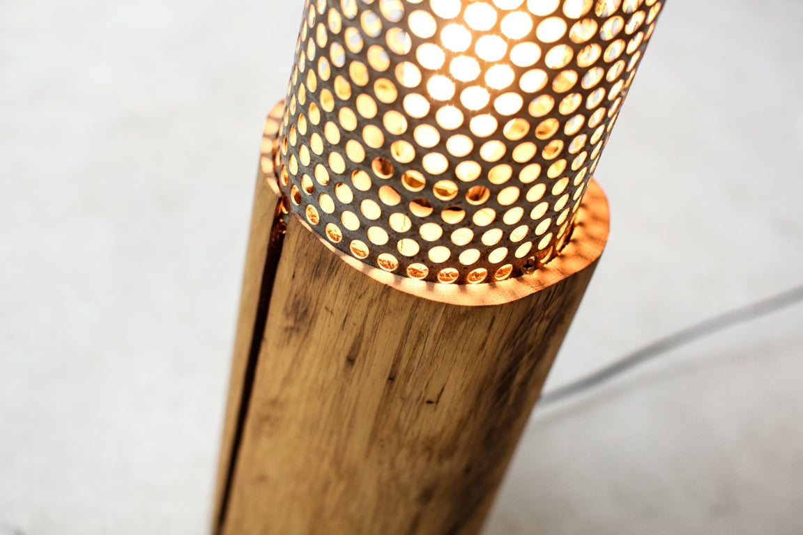 THE DIPLOMA SVETILKA