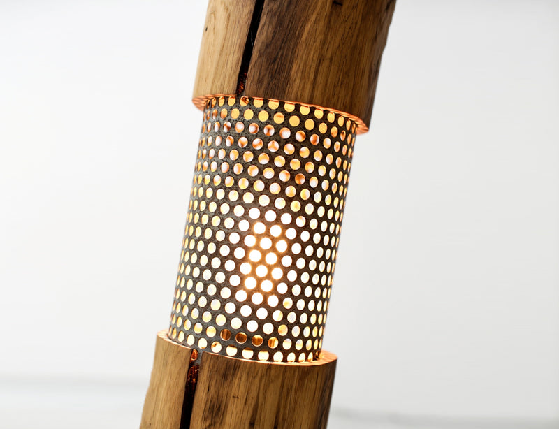 THE DIPLOMA SVETILKA